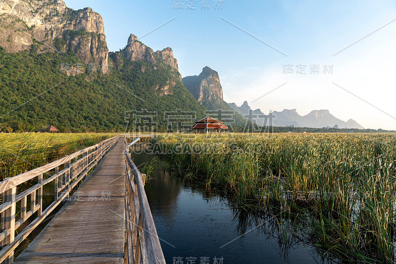 Bueng Bua木板路/莲花湖