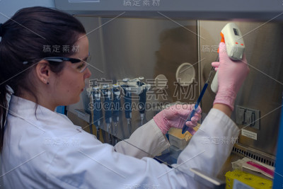 在实验室生物安全柜下工作的研究员