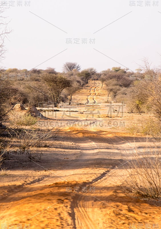 艰难的道路，崎岖不平的狩猎之路。只能通过4x4车辆，越野车在纳米比亚，非洲