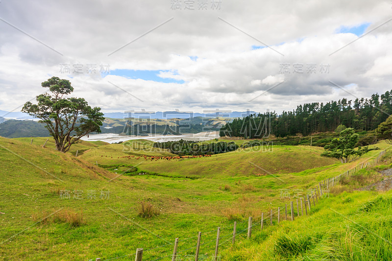 科罗曼德尔半岛的风景