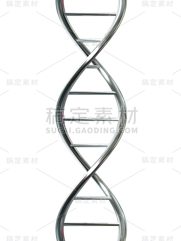 摘要:白色上的DNA双螺旋结构