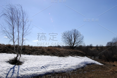 春天