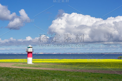 灯塔和一片油菜地在瑞典南部，Ven岛