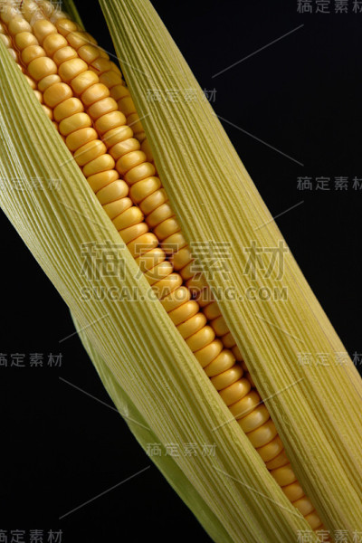 玉米穗的特写