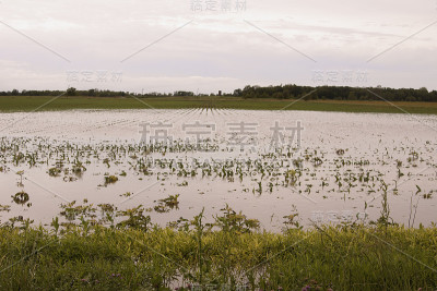 淹没了场
