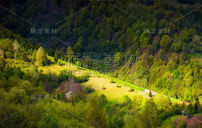 森林山坡上的光点
