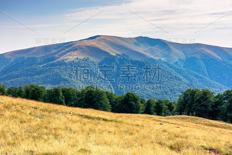 喀尔巴阡山脉夏季景观