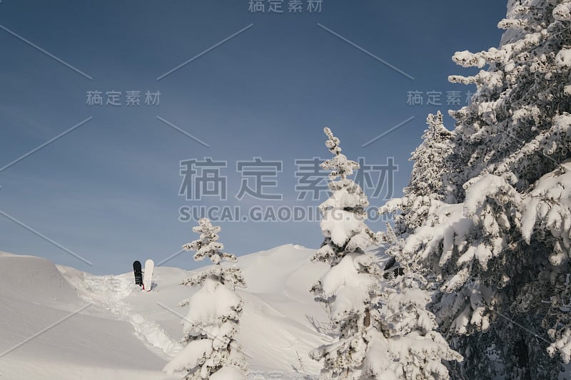 两块滑雪板伫立在积雪覆盖的森林和小山的雪粉中，在阳光明媚的日子里免费乘坐