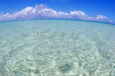 海