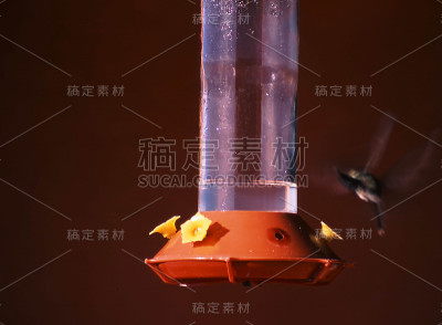 墨西哥的铜峡谷