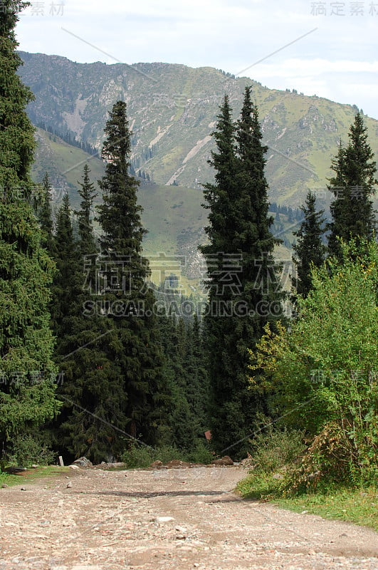 夏天山，扎利斯基·阿拉图。高山，巨石。天山。阿拉木图