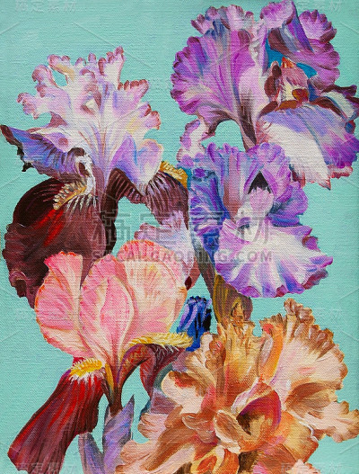 油画、水彩画、鸢尾花、五彩缤纷的艺术