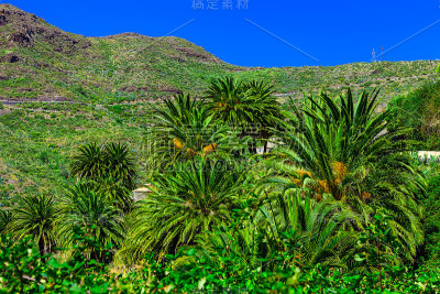 手掌在山