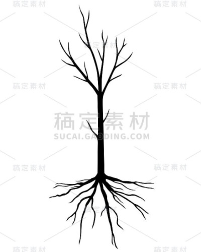 没有叶子的幼树剪影