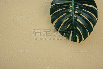 绿叶质地，自然背景