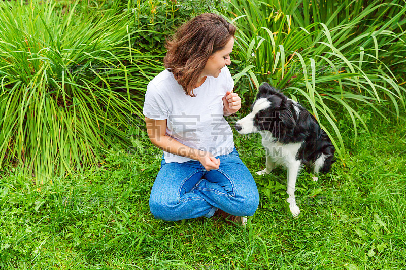 微笑年轻迷人的女人与可爱的小狗狗边境牧羊犬在夏季花园或城市公园户外背景。女孩和狗朋友训练技巧。宠物护