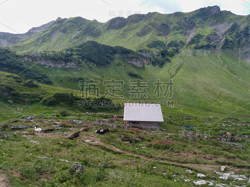 Schrecksee是德国南部的一个高山湖泊