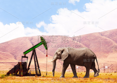 概念的大象和油塔泵从地下