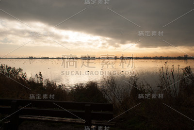 《暮光之城》