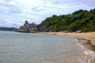 与老查姆