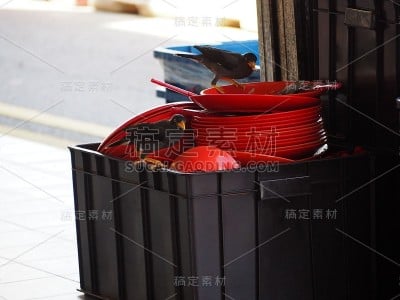 饥饿的鸟2