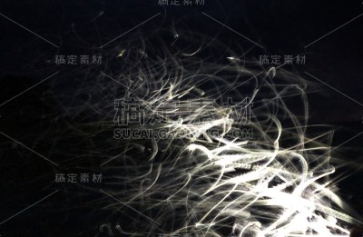 蚊虫