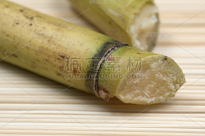 糖业狗