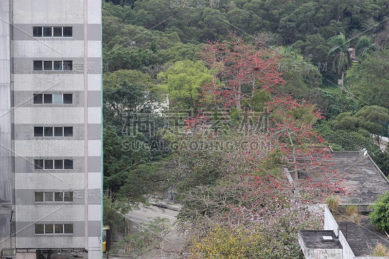 香港邵氏画室的面积