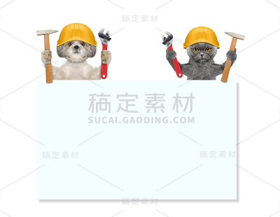 狗和猫的修理工拿着工具在他们的爪子
