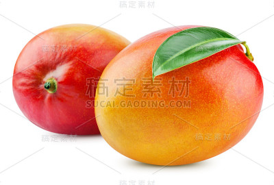 芒果