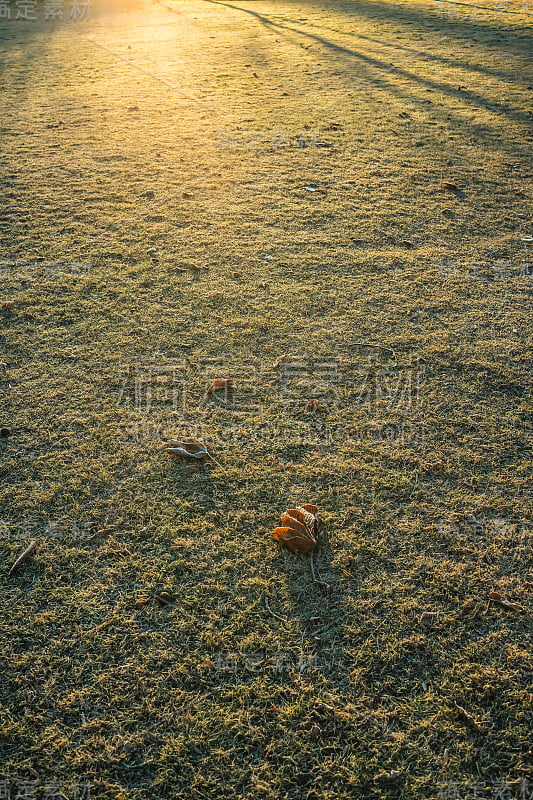 黄色的太阳在绿色的草地上冉冉升起