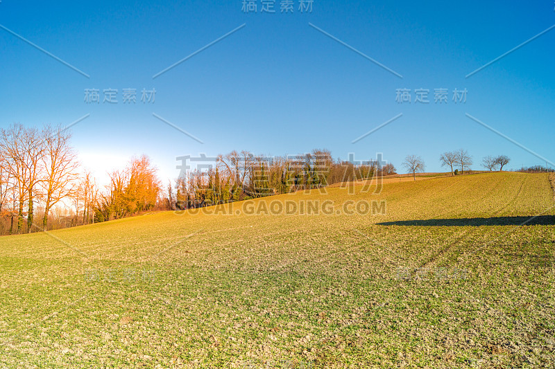 乡村景观，都灵山的全景