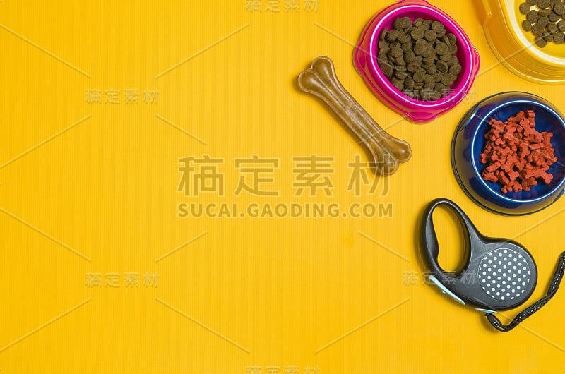 狗粮和配件在黄色背景俯视图