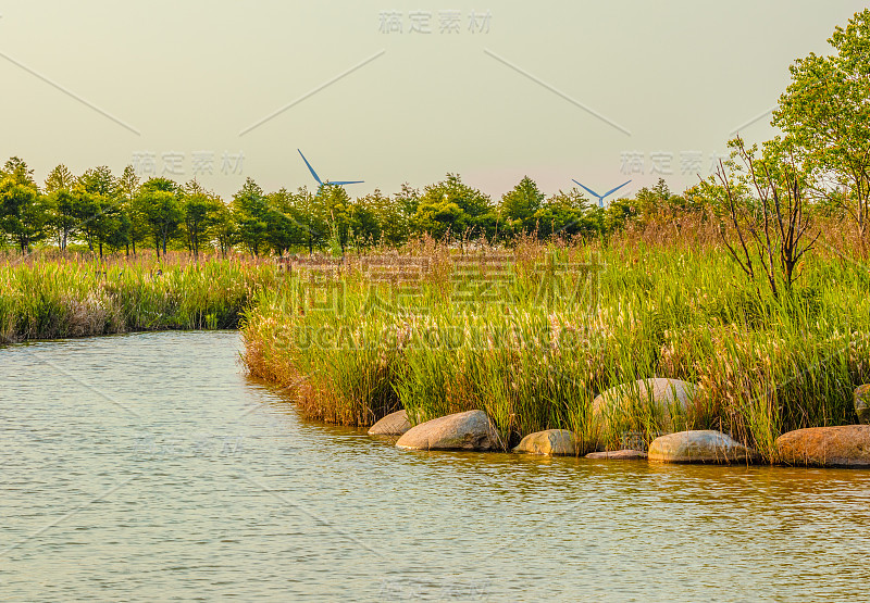 崇明岛东滩湿地公园风景优美