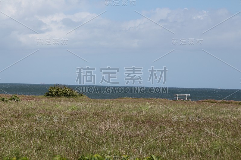 初夏在Säby在丹麦北海海岸