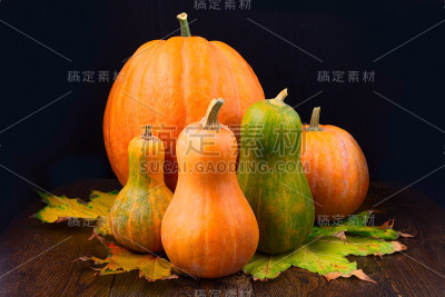南瓜还快活极了