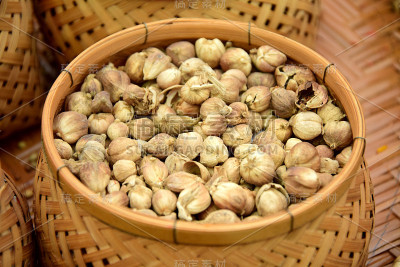 白色小豆蔻草药厨师，泰国食物。