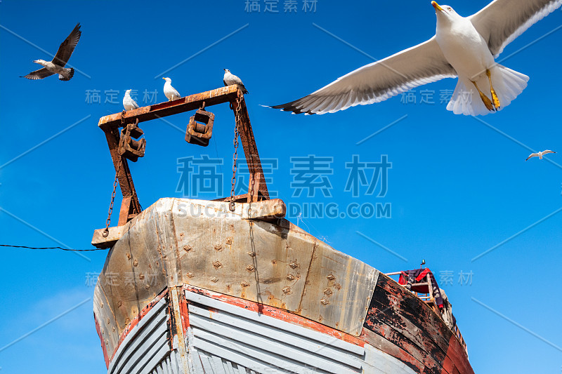 海鸥飞过船坞