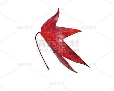 秋天叶子