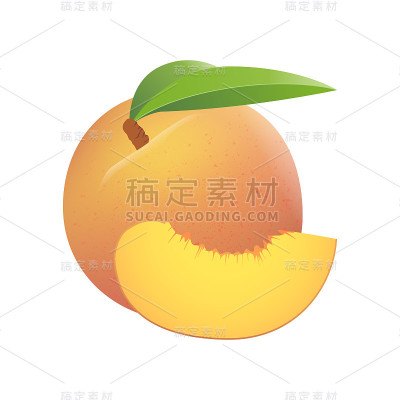 孤立的图像一个现实的多汁的桃子一片和叶子在白色的背景。