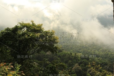 雾在泰国