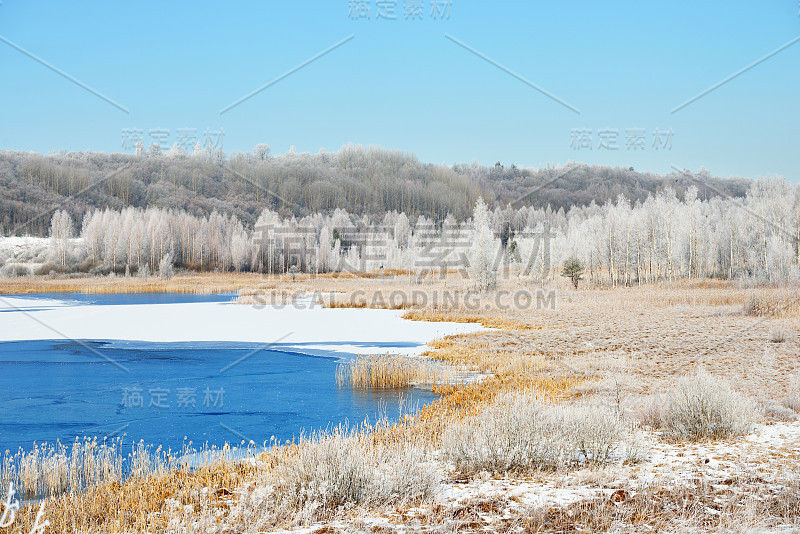 蓝色冰冻的湖被白雪覆盖的草地和覆盖着白霜的森林所包围。俄罗斯的冬天。