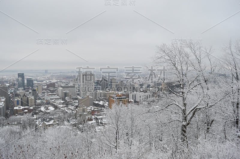 雪中的蒙特利尔市区