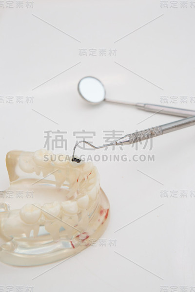 牙齿模型和牙科工具