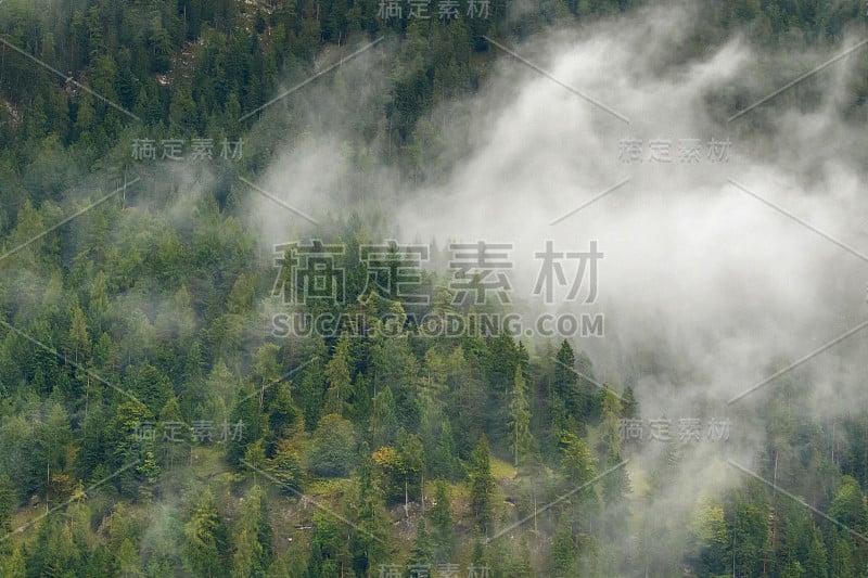 欧洲秋季，绿松林、高山、低云的风景