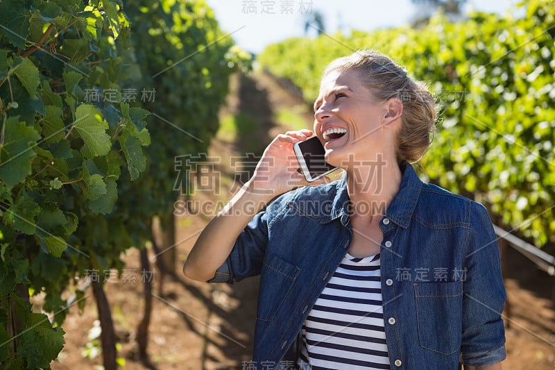 在葡萄园里打电话的女酒商