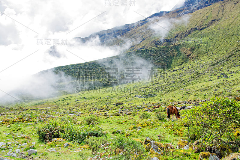 秘鲁库斯科地区的萨尔坎泰徒步旅行