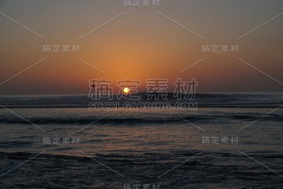 鸟在夕阳中飞翔