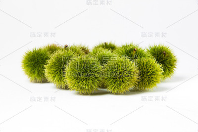 绿栗子，还有蓝毛刺