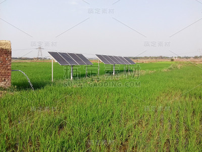 在印度西孟加拉邦的农业稻田中，太阳能电池板可以运行用于灌溉和分配水的潜水泵